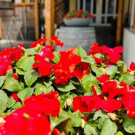 Christina アパート バド クラインキルヒハイム