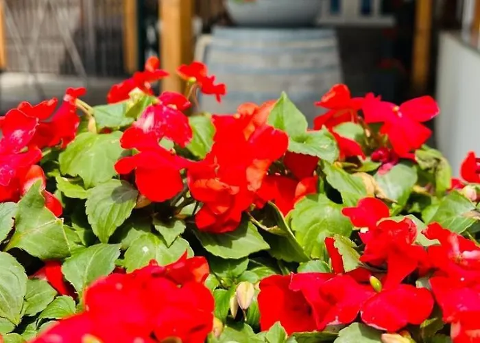 Christina דירה באד קליניקירשהיים